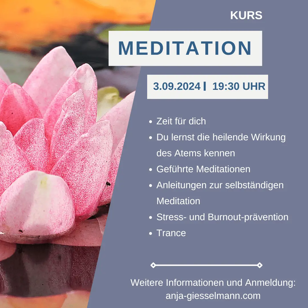 Kurs